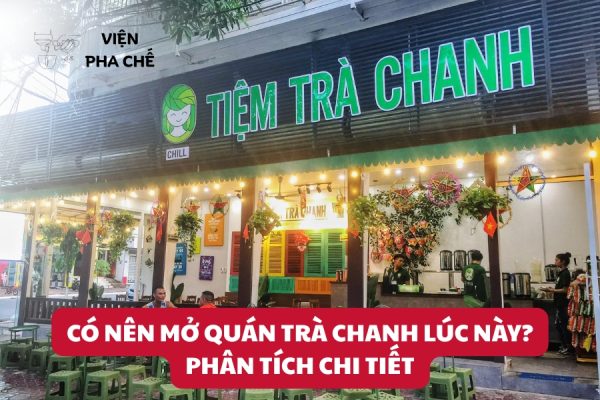 Có Nên Mở Quán Trà Chanh Lúc Này? Phân Tích Chi Tiết