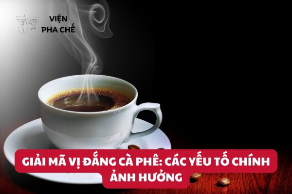 Giải Mã Vị Đắng Cà Phê: Các Yếu Tố Chính Ảnh Hưởng
