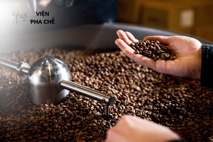 Thuật ngữ về phương pháp chế biến và rang xay